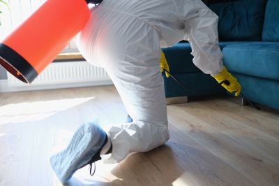 Fumigation Service in Madison, WI