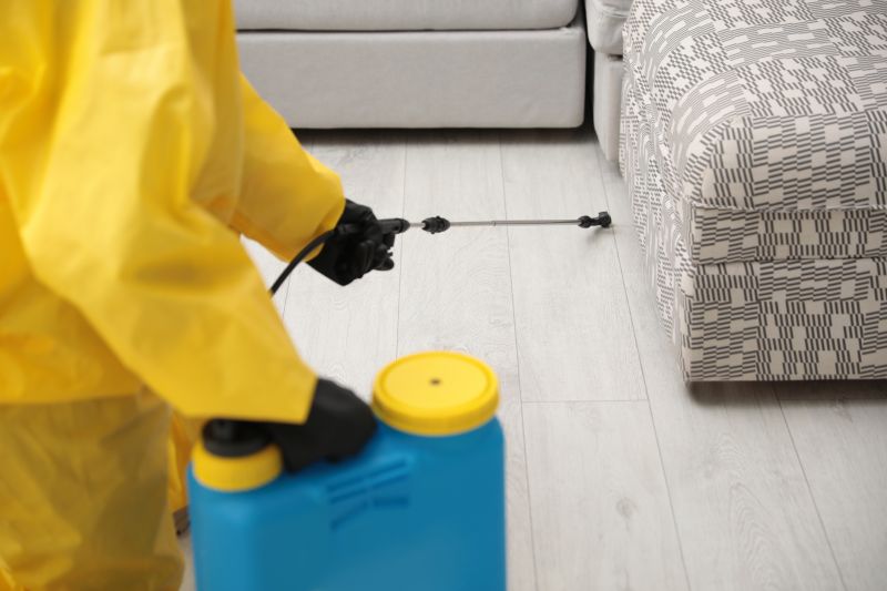 Pest Treatment Service in Frisco, TX
