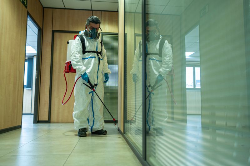 Spider Fumigation Service in Tampa, FL